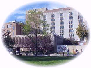 Windsor Regional Hospital  Metropolitan Campus