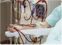 Australia Has Lowest Number of Dialysis Patients on Waiting List