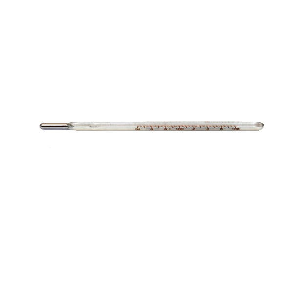 Thermometer Veterinary