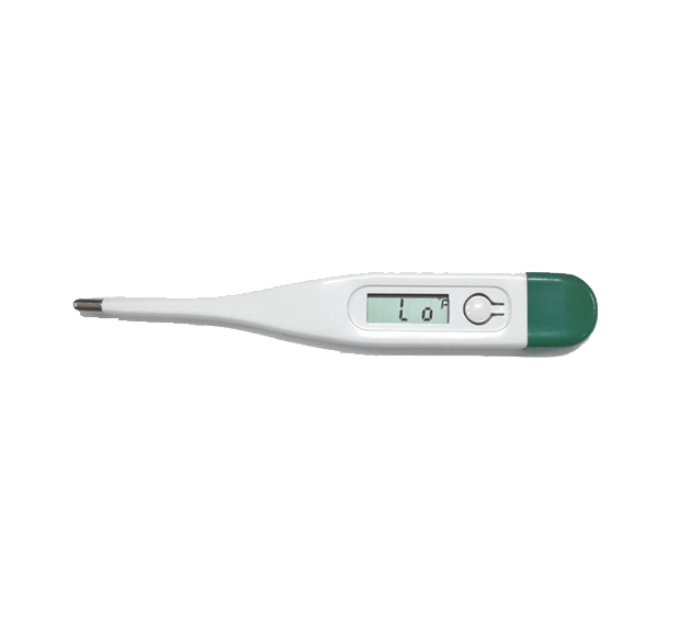 Digital Thermometer