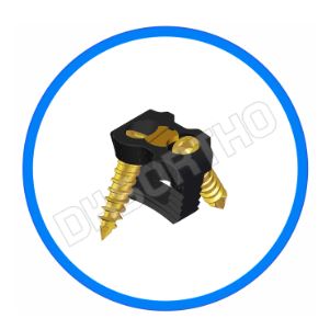 Cervical Cage